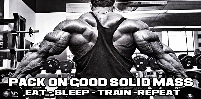 16 Week Bodybuilding Mass Workout Plan